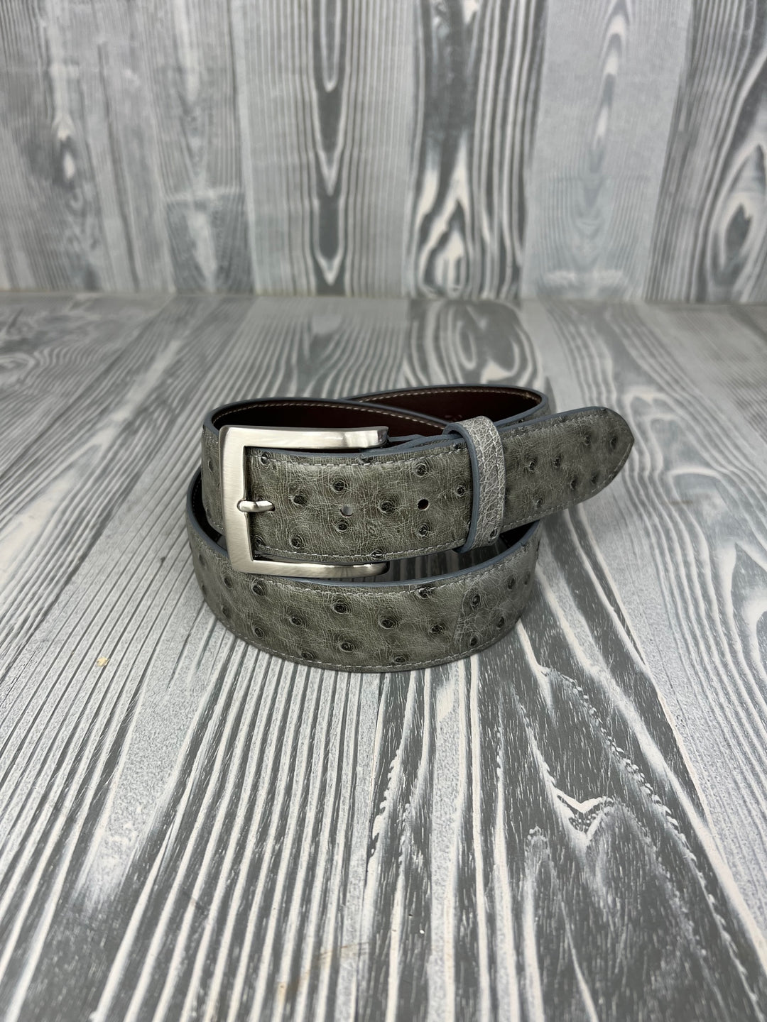 Chacon Serpentine Bruciato Full Quill Ostrich 1 1/2" Belt
