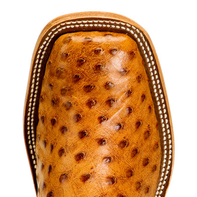 Autruche Full Quill Anderson Bean Brandy Bruciato pour hommes avec 13 : hauts en mollet bleu marine bruni - S3016