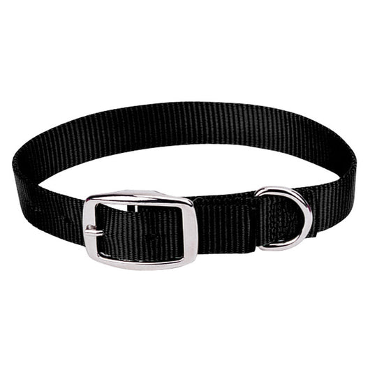 Prism Choice Dog Collar - 3/4"