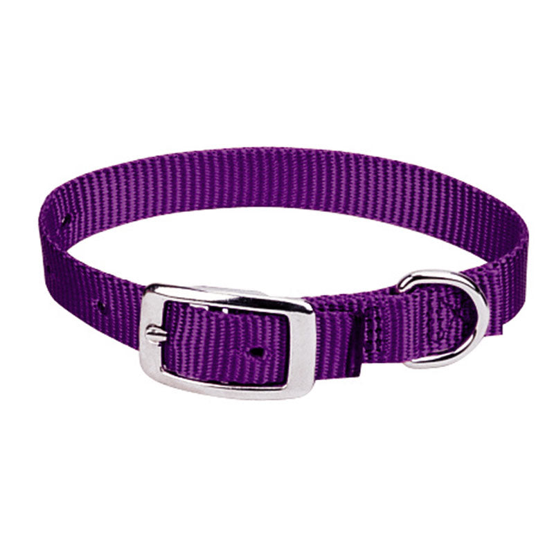 Prism Choice Dog Collar - 3/4"