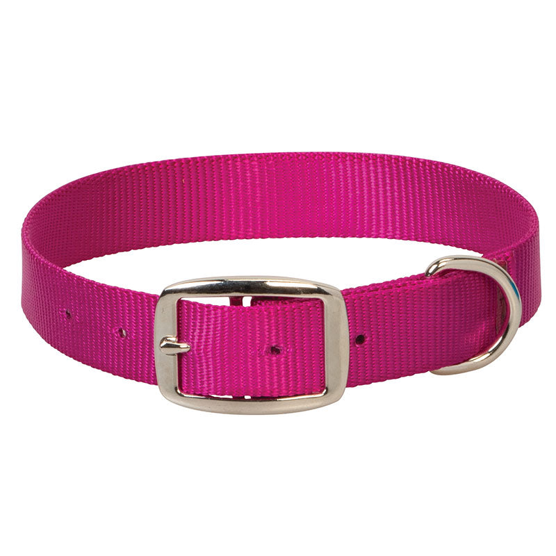 Prism Choice Dog Collar - 3/4"
