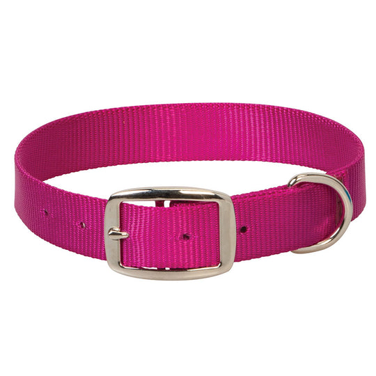 Prism Choice Dog Collar - 3/4"