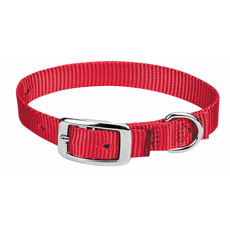 Prism Choice Dog Collar - 3/4"
