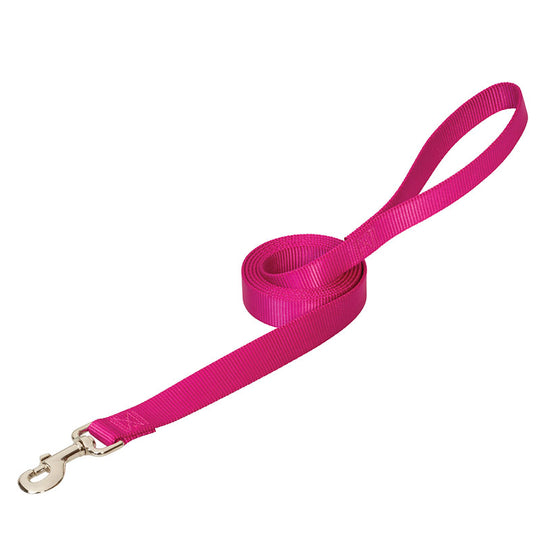 Prism Choice Leash - 3/4"