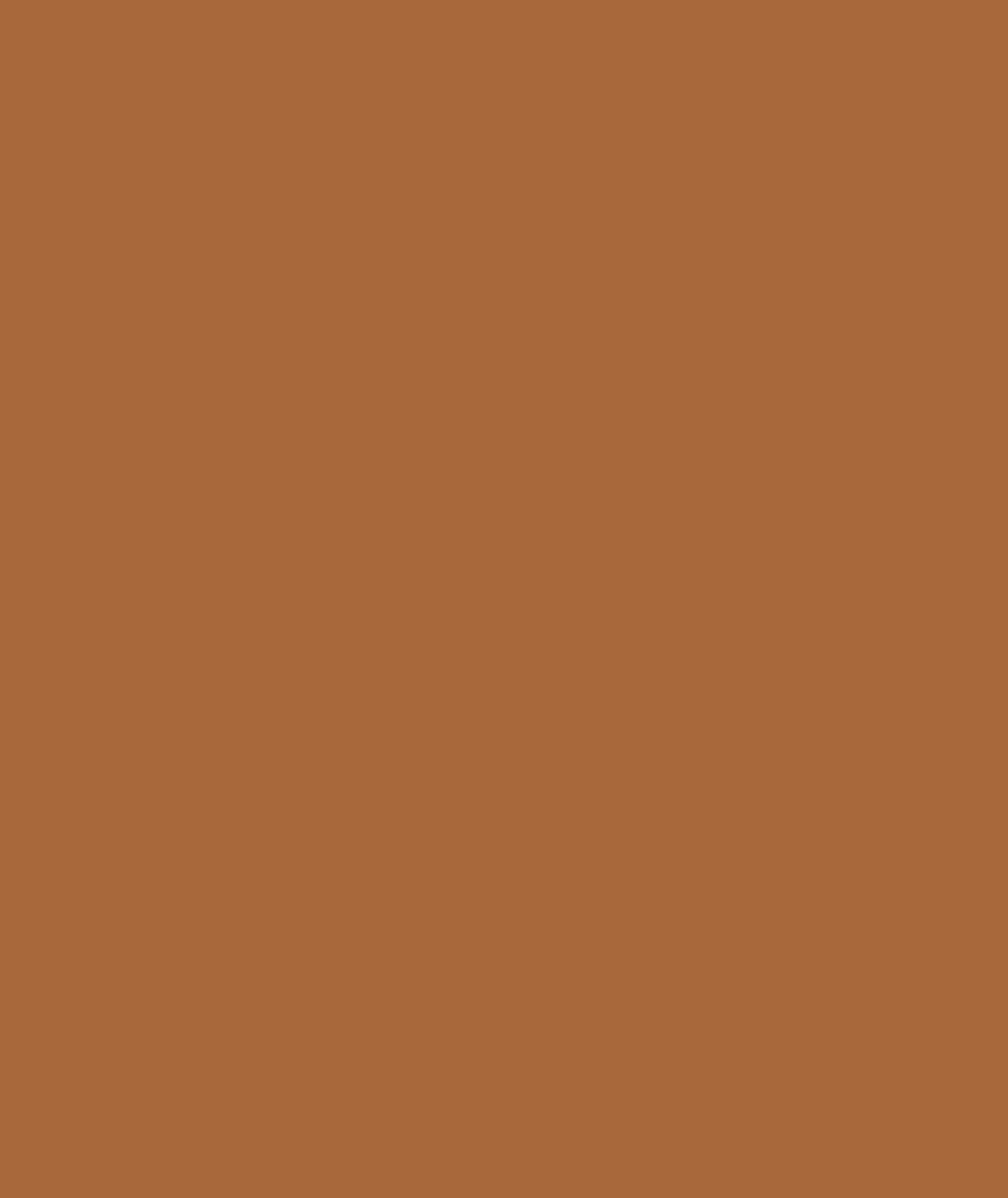 Men's Ariat Solid Tan Twill Classic Fit Shirt - 10062473