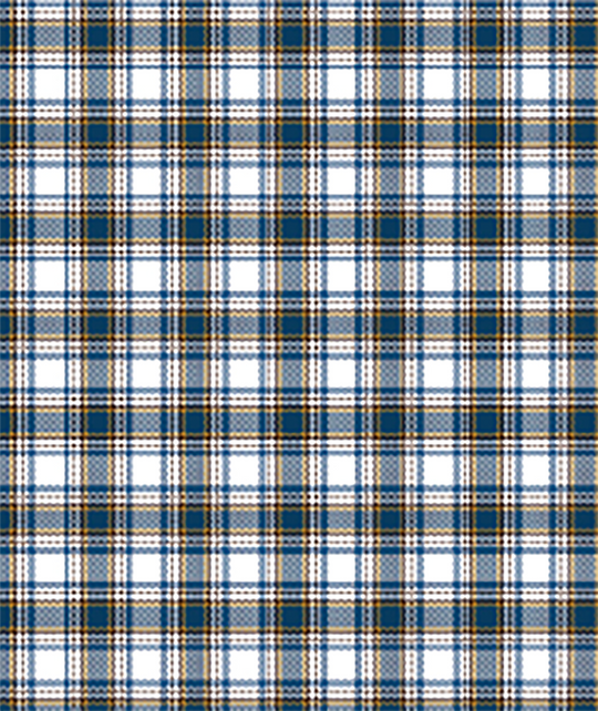 Boys Ariat Pro Series Townes Classic Fit Shirt - 10065983