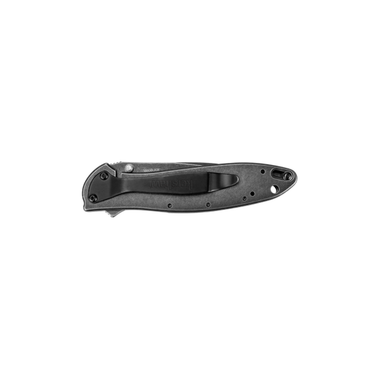 Kershaw Leek BlackWash Knife - 1660BLKW