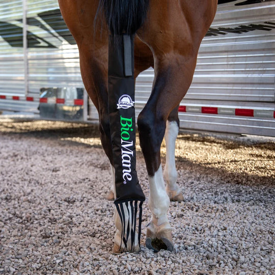BioMane Tail Bag