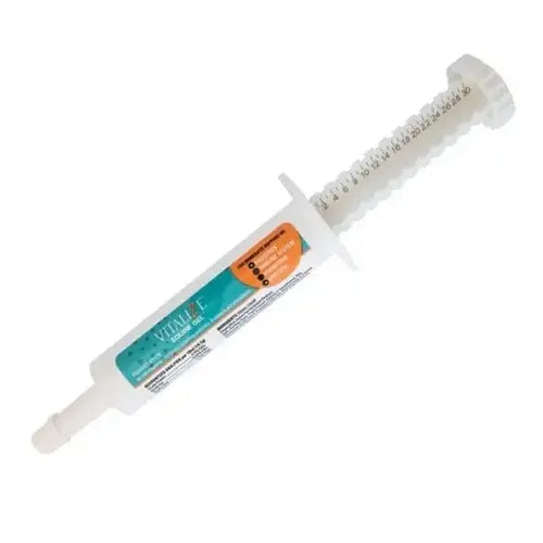 Biozyme Inc Vitalize Equine Gel - 30ml