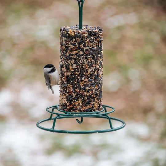 Mr. Bird EZFeeder
