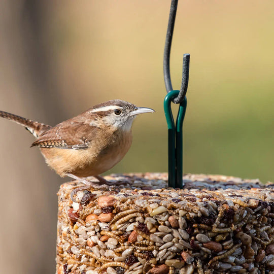 Mr. Bird EZFeeder