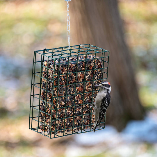 Mr. Bird NeatFeader