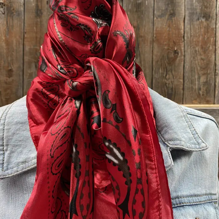 Rodeo Drive Red & Black Paisley Wild Rag/Scarf - WR434