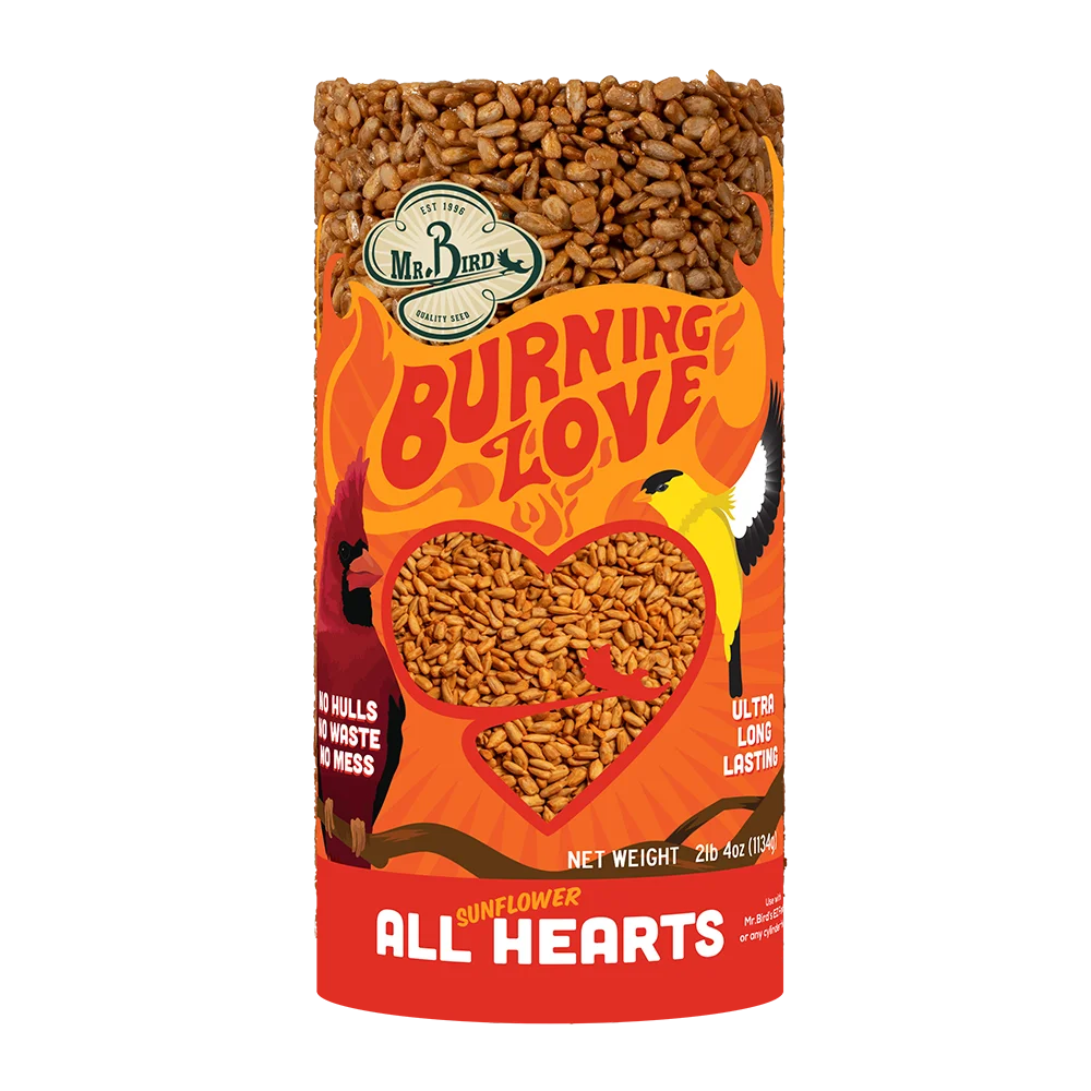 Mr. Bird Burning Love Small Cylinder