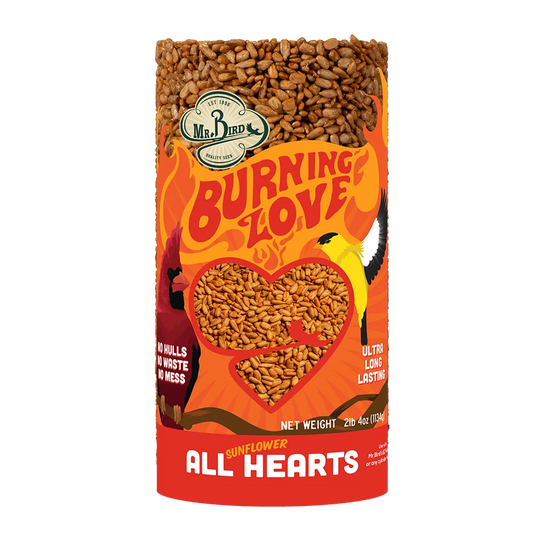 Mr. Bird Burning Love Small Cylinder
