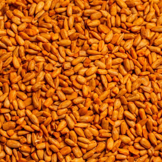 Mr. Bird Burning Love Bag Seed 4lb
