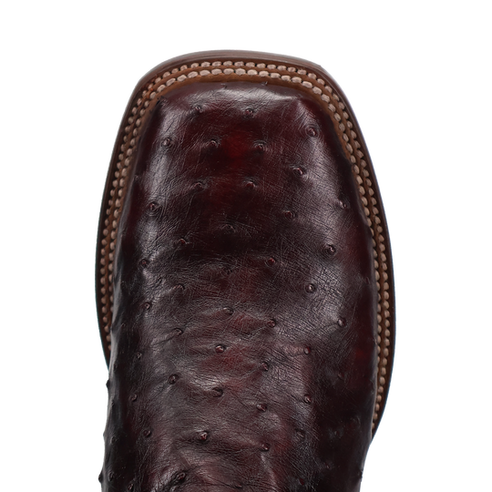 Men's Dan Post Alamosa Black Cherry Full Quill Ostrich with 11" Tops - DP5012