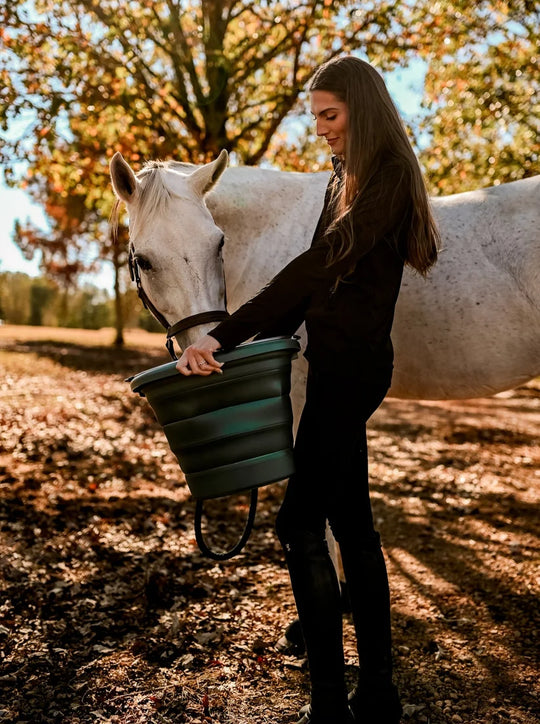 Boss Equine Boss Buckets