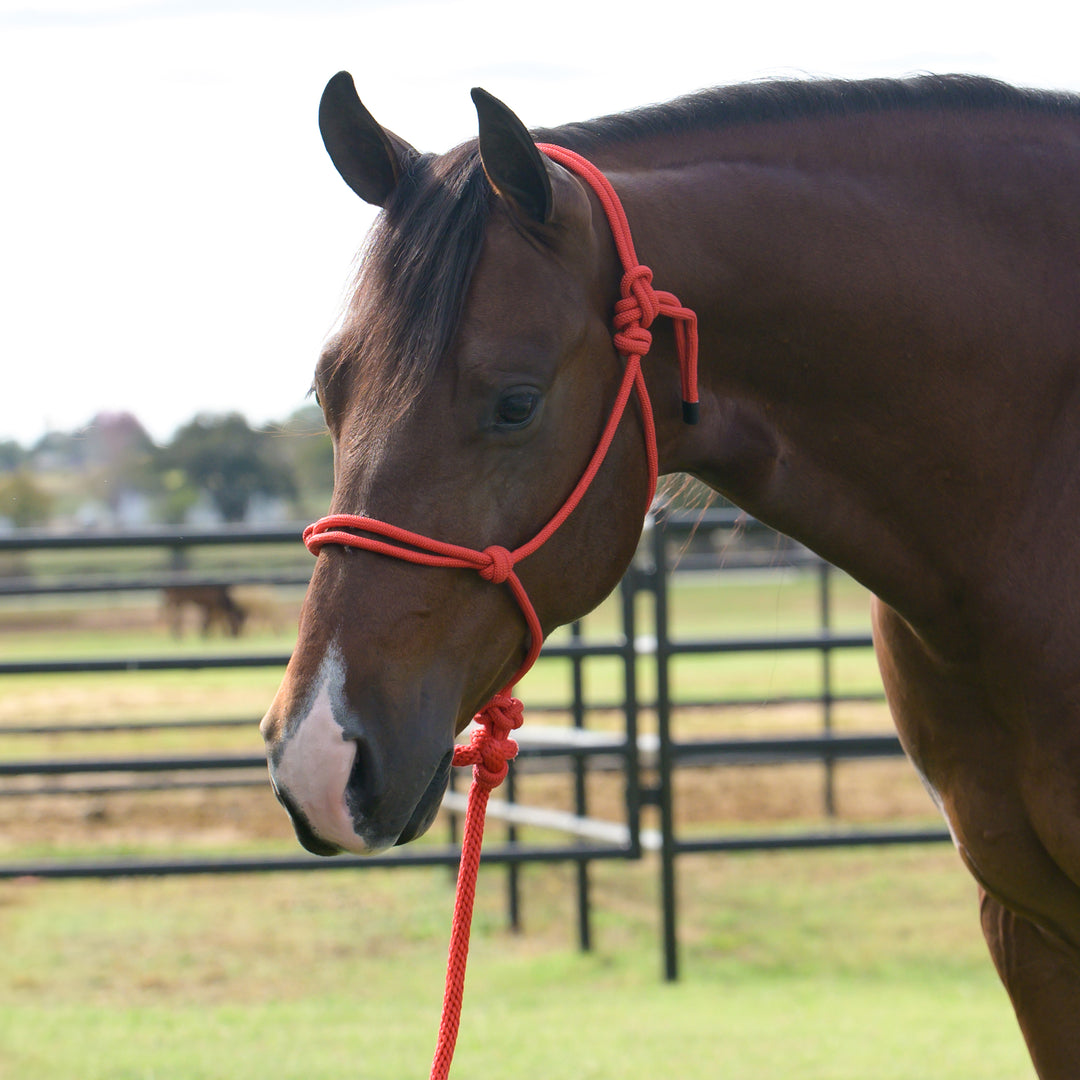 Professional's Choice Equisential Rope Halter