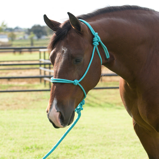 Professional's Choice Equisential Rope Halter