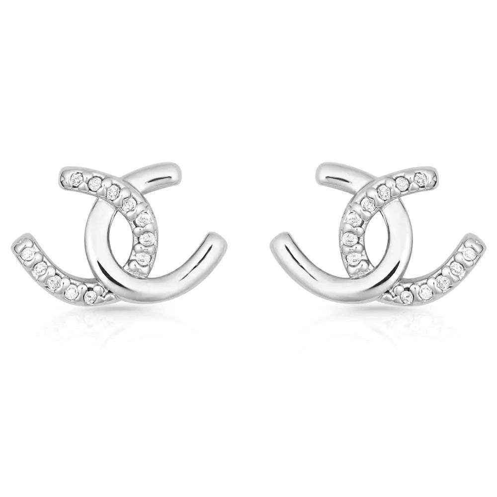 Montana Silversmiths Horseshoe Happiness Post Earrings - ER4505