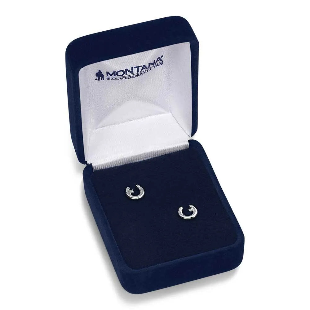 Montana Silversmiths Little Light Horseshoe Earrings - ER5867