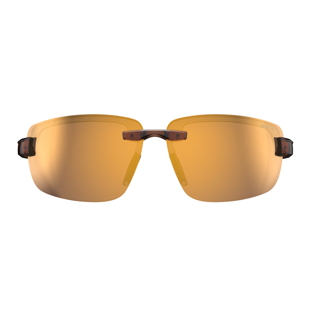 BEX Harris Clear Brown/Brown/Gold Sunglasses - S126CBRBRGL