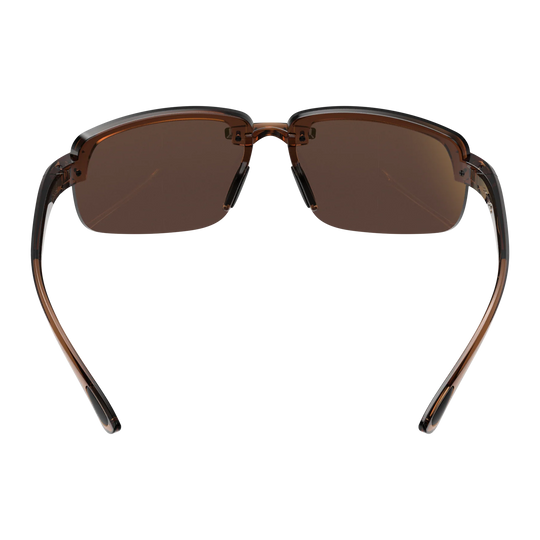 BEX Harris Clear Brown/Brown/Gold Sunglasses - S126CBRBRGL