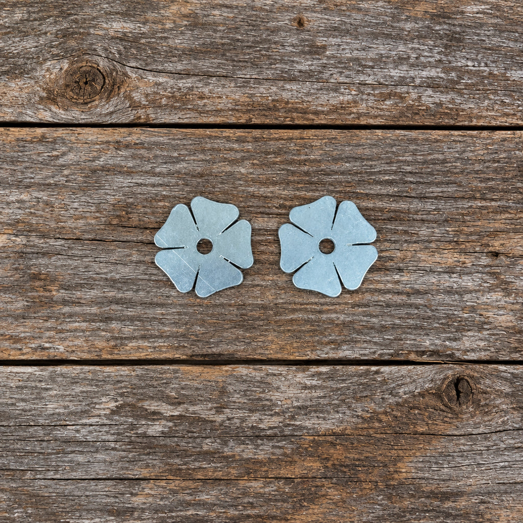 Dutton Bits & Spurs 1" Medium Clover Rowels #10