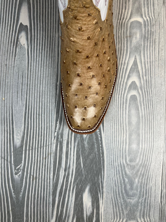 Men's Rios of Mercedes Mink Mad Dog Full Quill Ostrich with 13" Fleck Kidskin Tops - Style #123