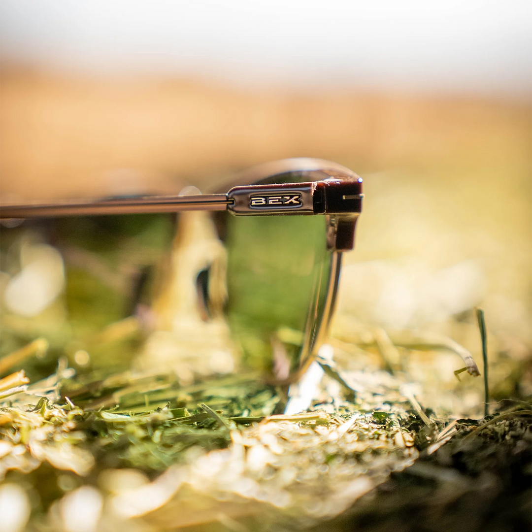 BEX Knox XL Chestnut Forest Sunglasses - S173CF