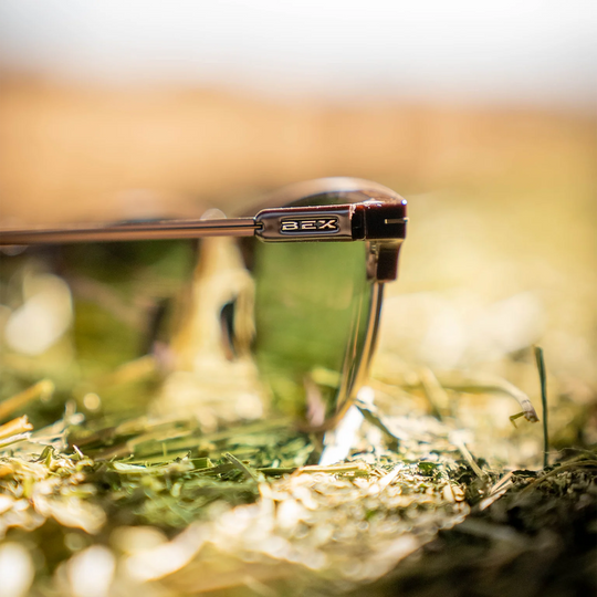 BEX Knox XL Chestnut Forest Sunglasses - S173CF