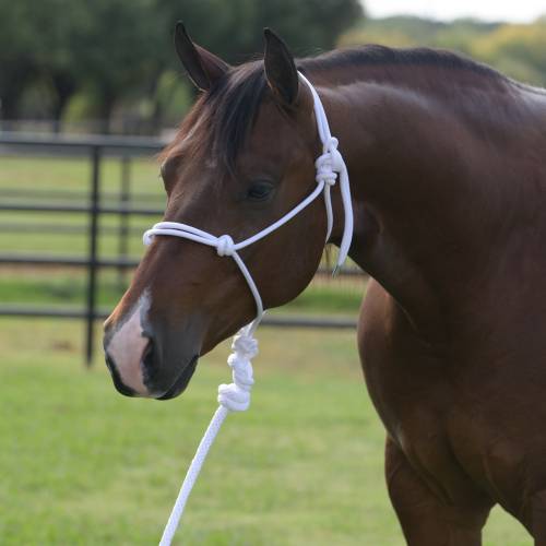 Professional's Choice Rope Halter