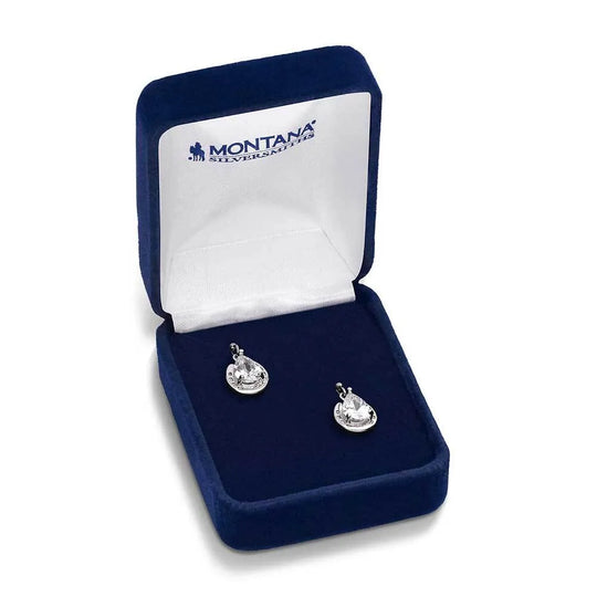 Montana Silversmiths Lucky Trot Crystal Earrings - QER5973