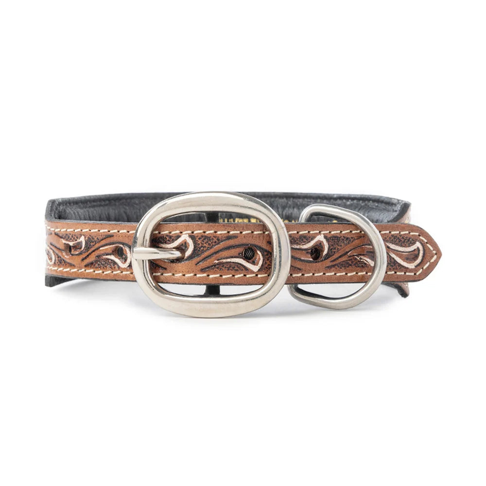 Myra Prairie Sunflower Trail Dog Collar in Sandstone - S-13333