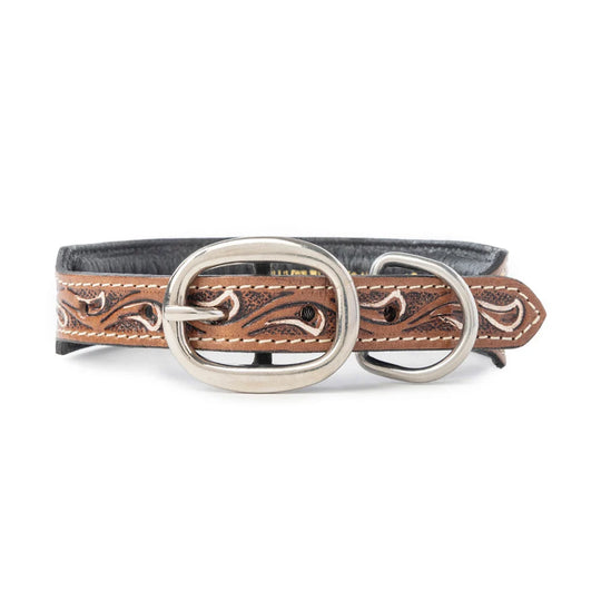 Myra Prairie Sunflower Trail Dog Collar in Sandstone - S-13333