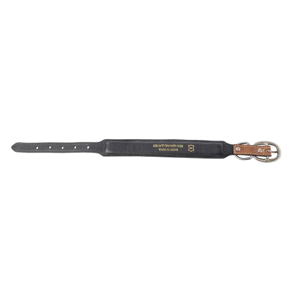Myra Prairie Sunflower Trail Dog Collar in Sandstone - S-13333