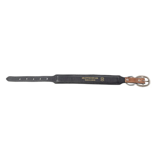 Myra Prairie Sunflower Trail Dog Collar in Sandstone - S-13333