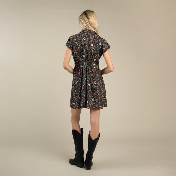 Sendero Provisions Co Marabella Dress