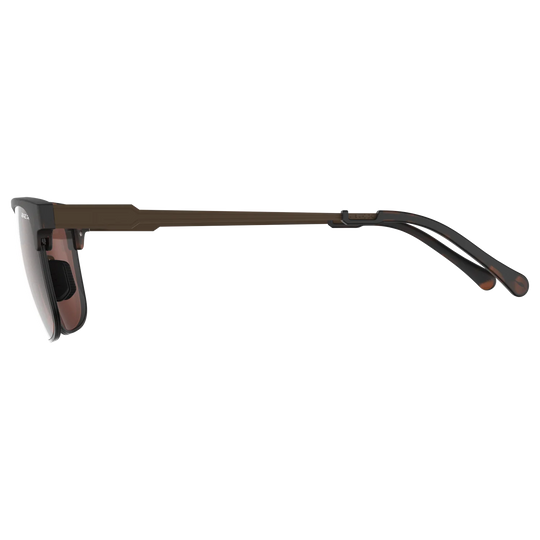 Bex Roger Tortoise/Brown Sunglasses - S74TBS