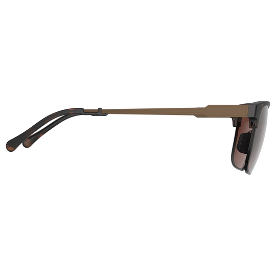 Bex Roger Tortoise/Brown Sunglasses - S74TBS