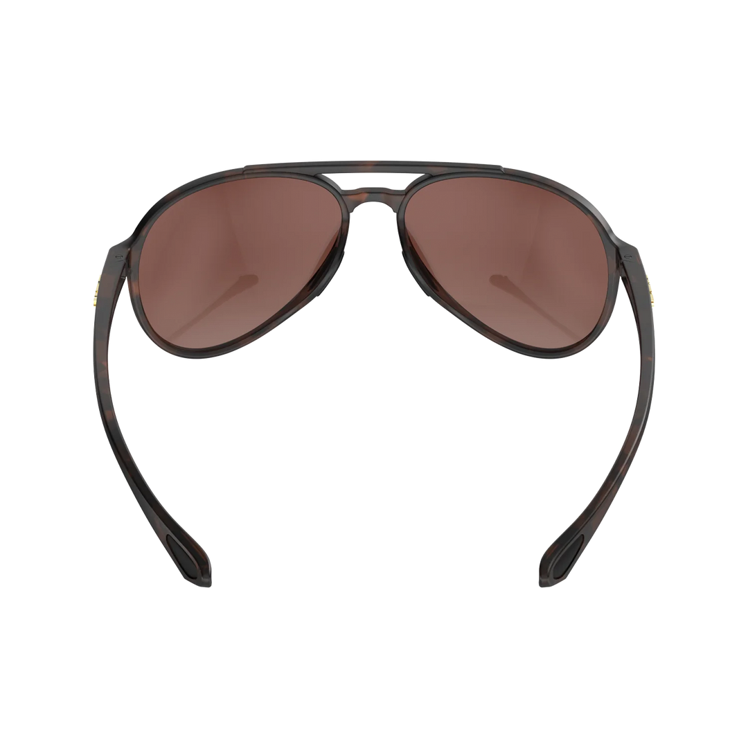 BEX Wesley Lite Tortoise Brown/Brown/Silver Sunglasses - S124TBBRSL