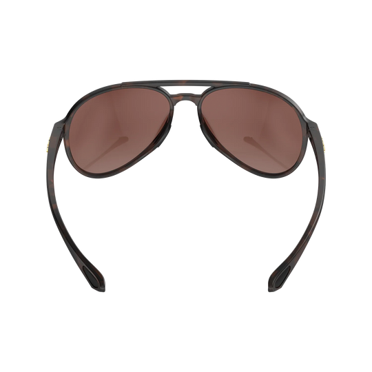 BEX Wesley Lite Tortoise Brown/Brown/Silver Sunglasses - S124TBBRSL