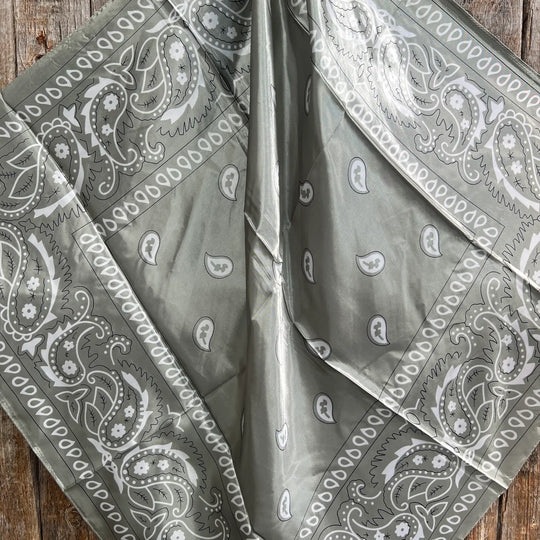Rodeo Drive Sage & White Paisley Wild Rag/Scarf - WR3413