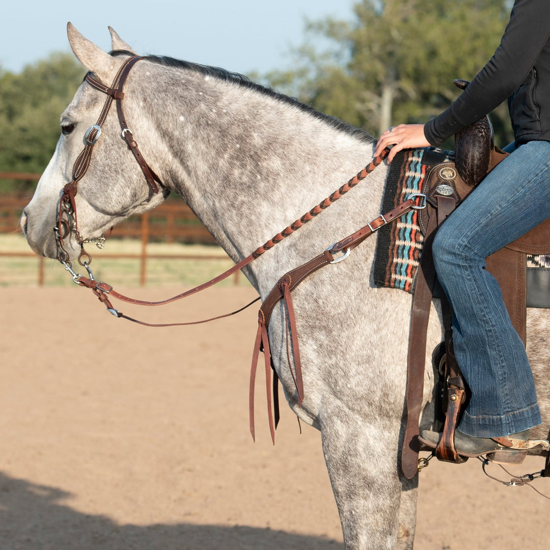 Martin Saddlery Browband Headstall with Rosette Strings