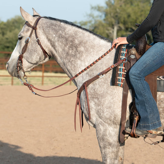 Martin Saddlery Browband Headstall with Rosette Strings