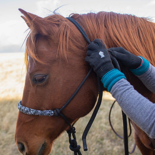Classic Equine Barn Gloves