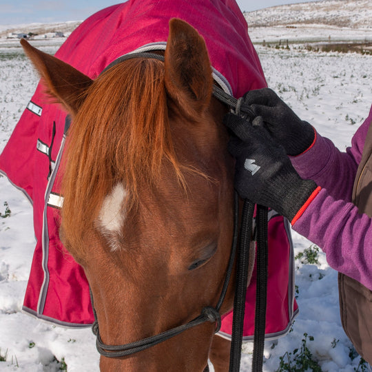 Classic Equine Barn Gloves