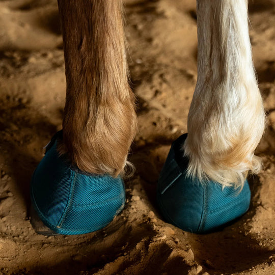 Classic Equine DyNo Turn Bell Boots