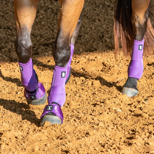 Classic Equine Legacy2 Support Boots, Front
